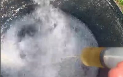 Trichaderma and Subtilis Innoculant